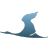 JS-v-16829