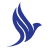 دراجونير