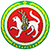 طيران تاتارستان
