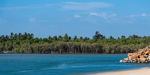 Muscat - Mangalore