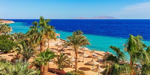 Madinah - Sharm El Sheikh